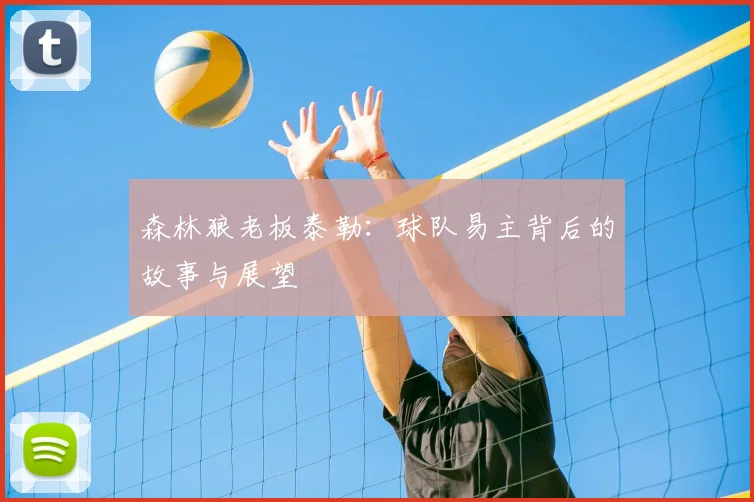 森林狼老板泰勒：球队易主背后的故事与展望