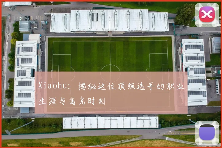Xiaohu：揭秘这位顶级选手的职业生涯与高光时刻